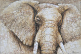 Y-10715-1 150x100cm